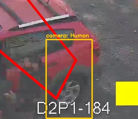 Zoom on the region the camera flagged