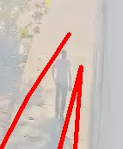 Zoomed region the camera flagged