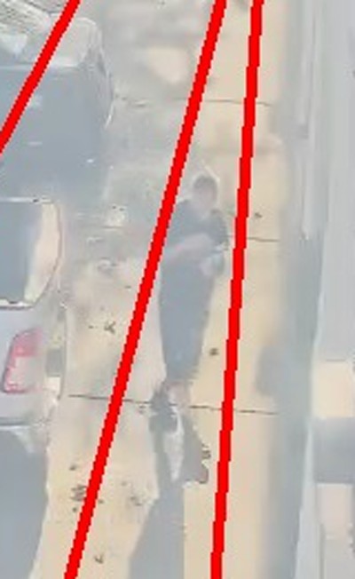 Zoomed region the camera flagged