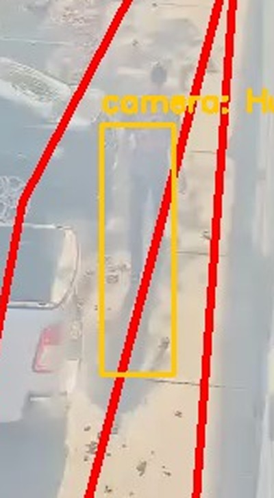 Zoomed region the camera flagged