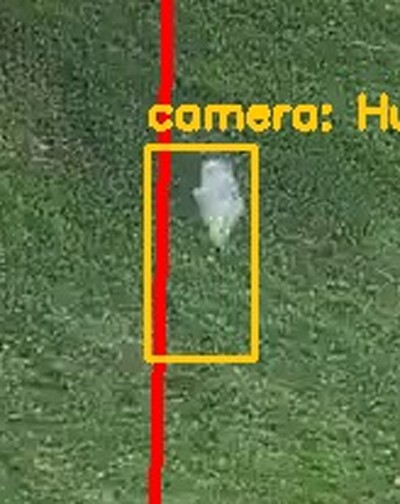 Zoomed view of a small pale
      object on a grass verge