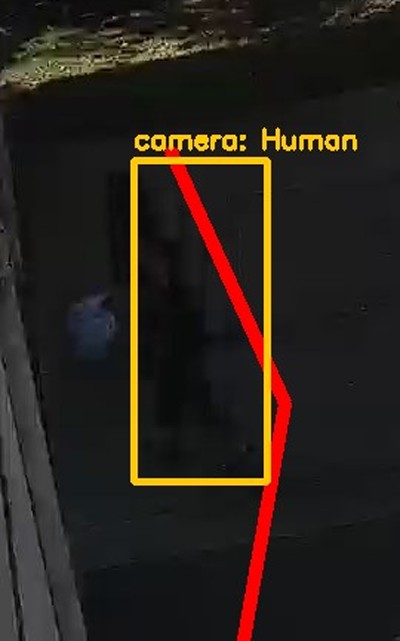 Zoomed region the camera flagged