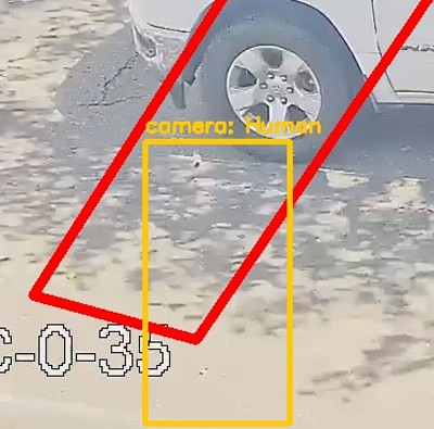 Zoomed region the camera flagged