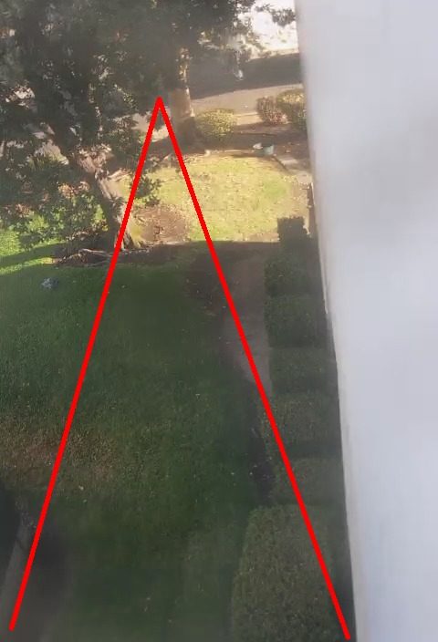 An empty lawn with shrubs and tree
    shadows, crossed by a red V-shaped rule line, with no people present